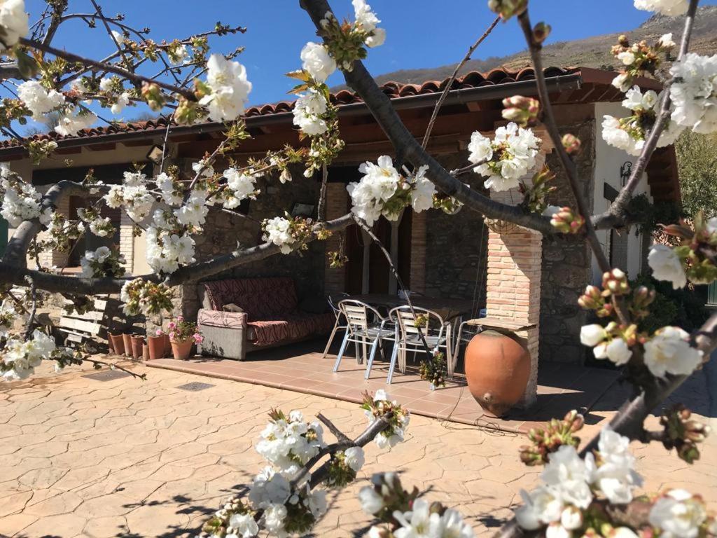 Casa Rural La Picotina Navaconcejo Bagian luar foto