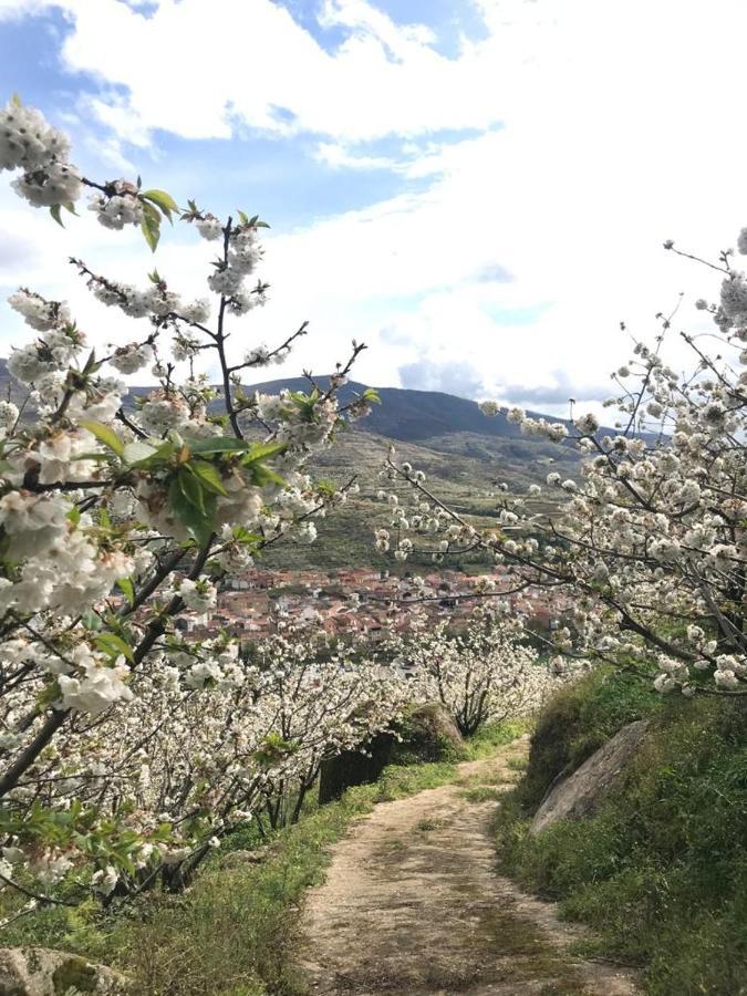 Casa Rural La Picotina Navaconcejo Bagian luar foto