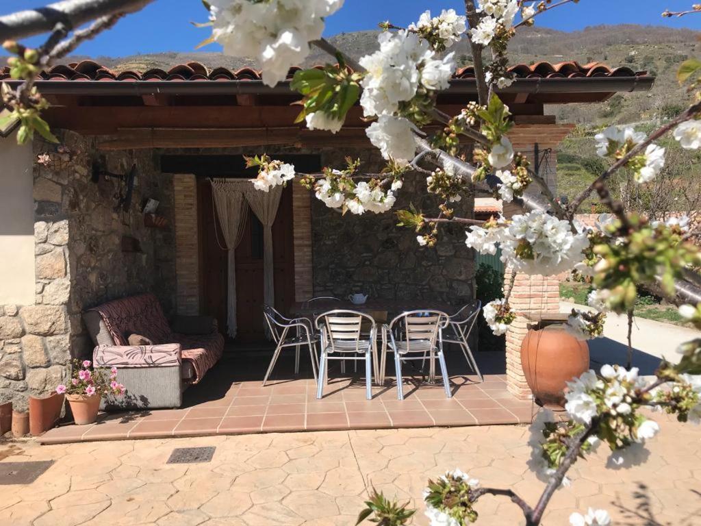 Casa Rural La Picotina Navaconcejo Bagian luar foto