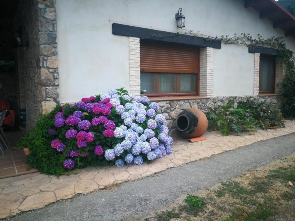 Casa Rural La Picotina Navaconcejo Bagian luar foto