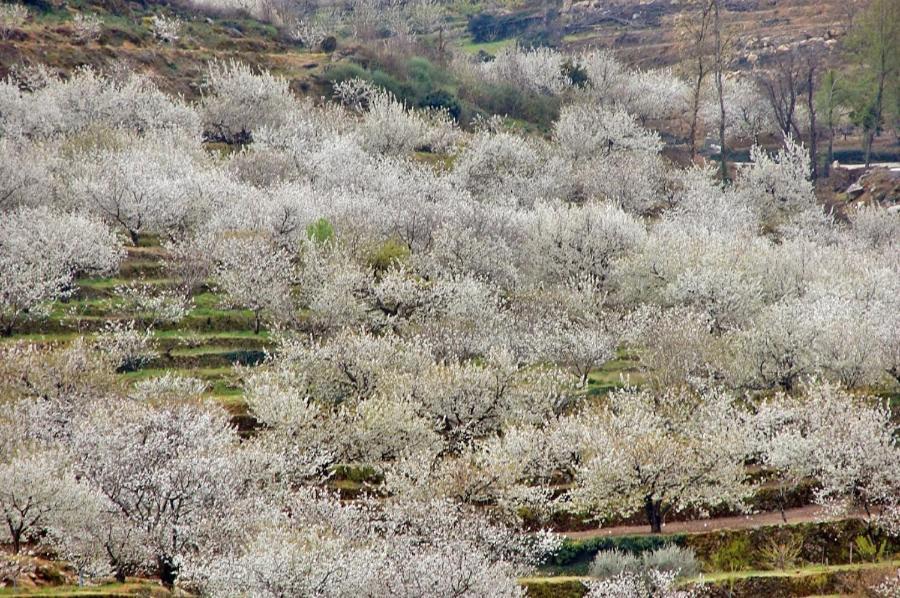 Casa Rural La Picotina Navaconcejo Bagian luar foto